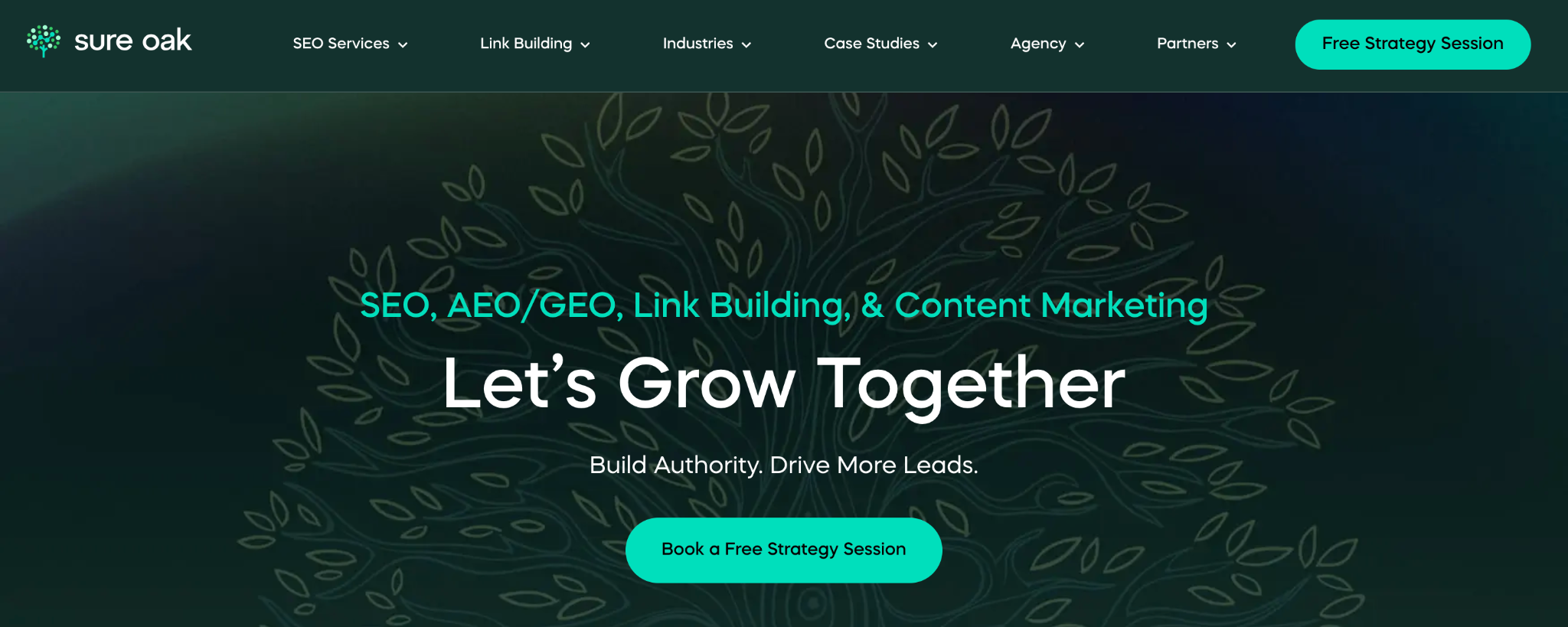 SureOak - Fintech SEO & GEO company