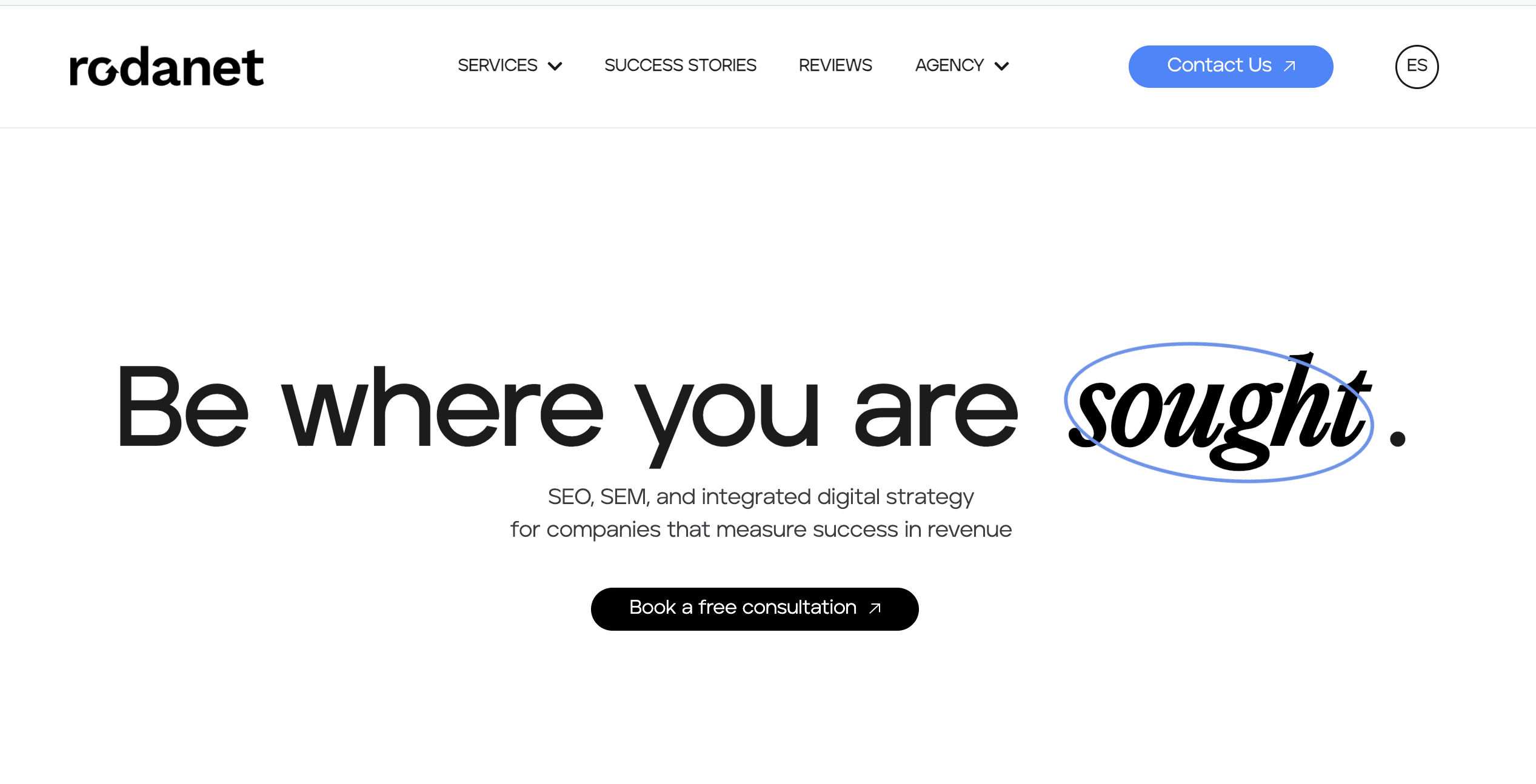 Rodanet - aeo services saas