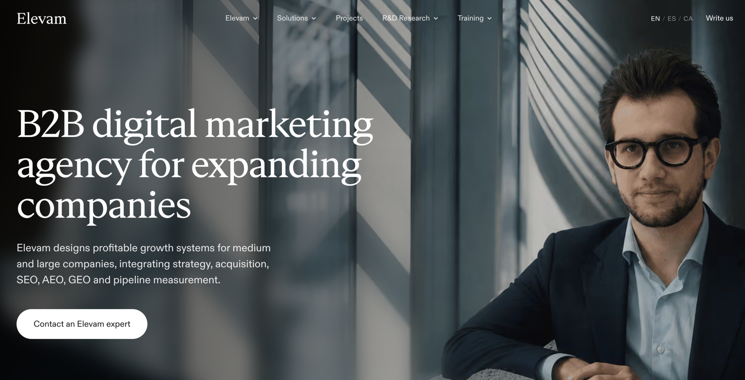 Elevam - seo agency for saas
