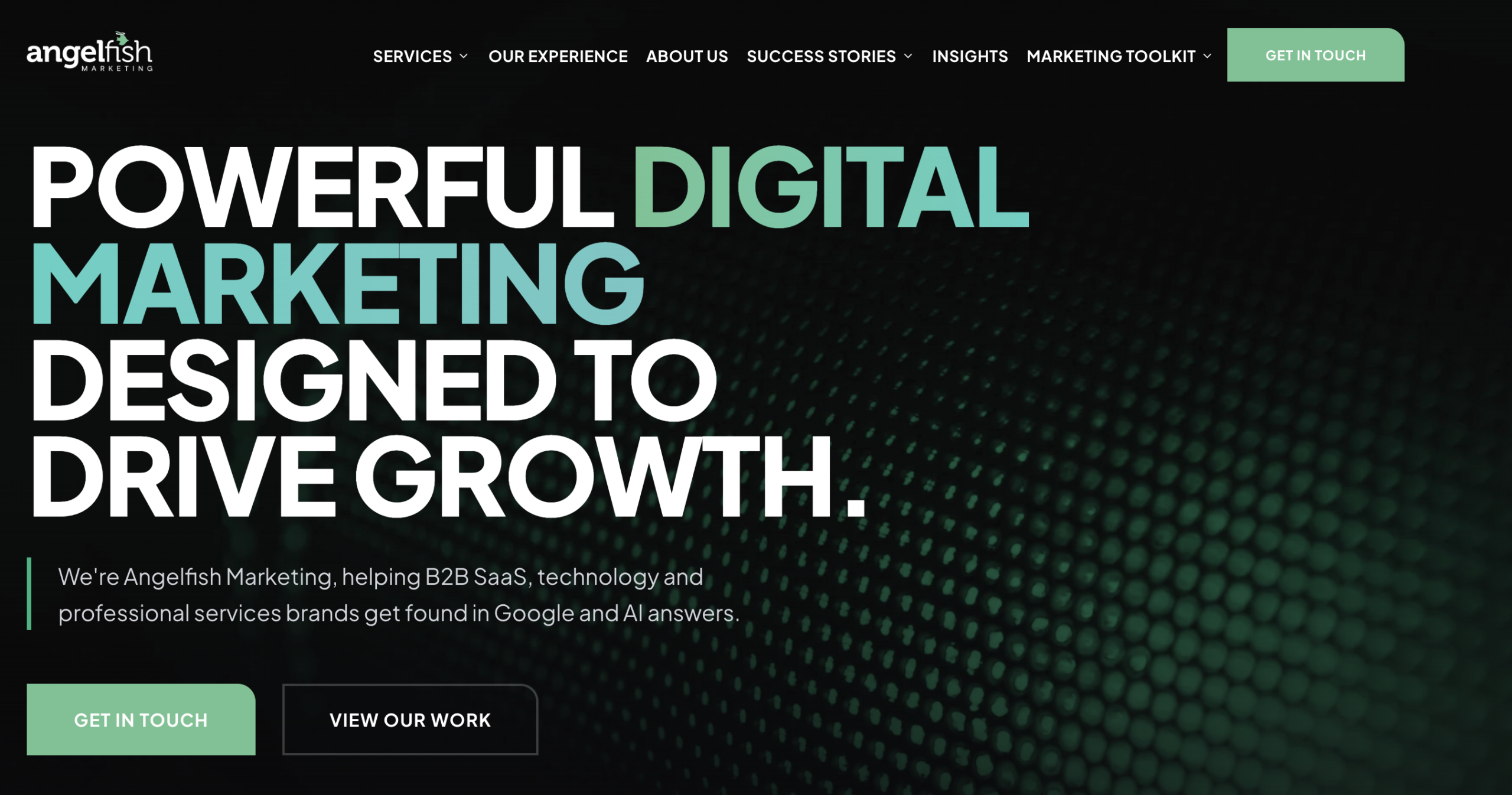 Angelfish Marketing - saas seo services